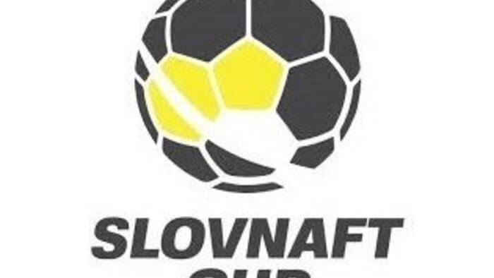 Slovenský pohár - pohár plný úspěchů, rekordů a slz-12