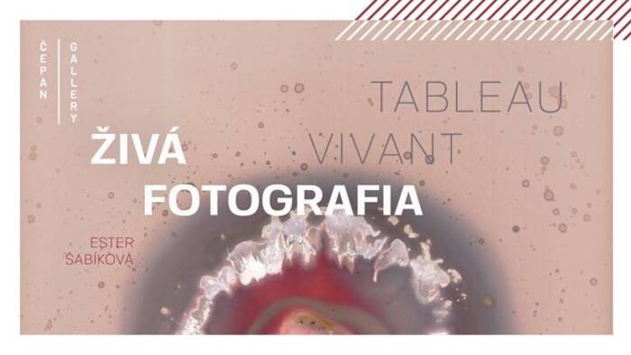 Ester Šabíková: Live Photography / Tableau vivant-1