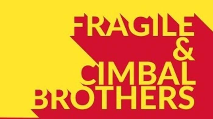 Fragile & Cimbal Brothers-1