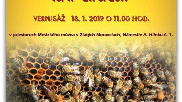100 rokov včelárstva na zlatomoravecku - Zlaté Moravce-1