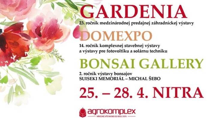 Gardenia Bonsai Gallery-1