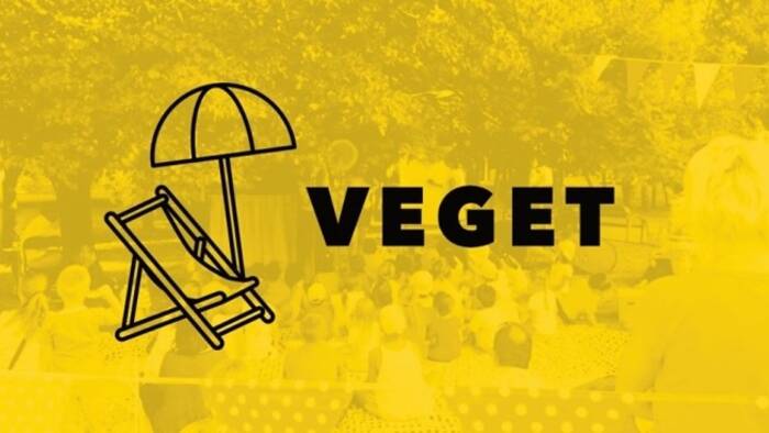 Veget – komunitný festival na sídlisku-1