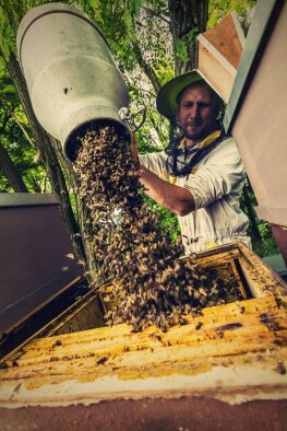 Včelári méz - Suchá nad Parnou-6