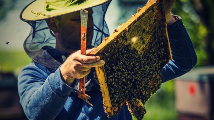 Med od včelařů - Suchá nad Parnou-3