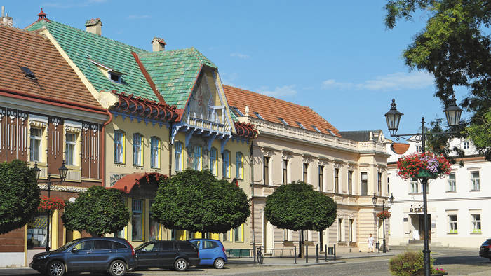 Cultural house in Skalica-1