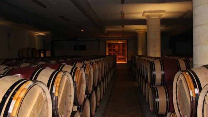 Wine cellar Svätý Jur-1