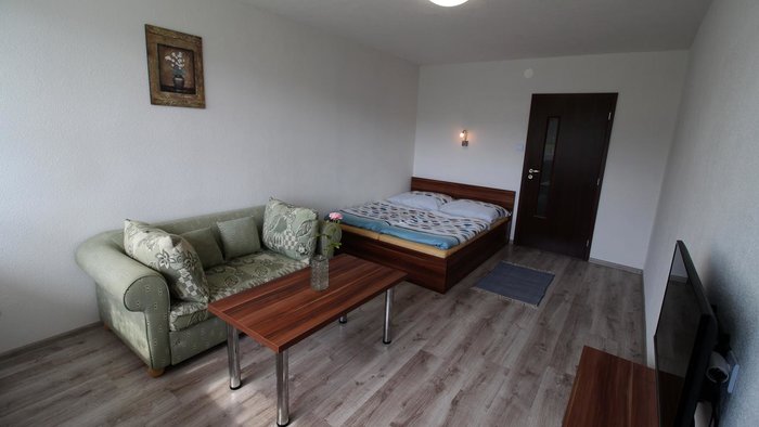 Apartment Igor-9