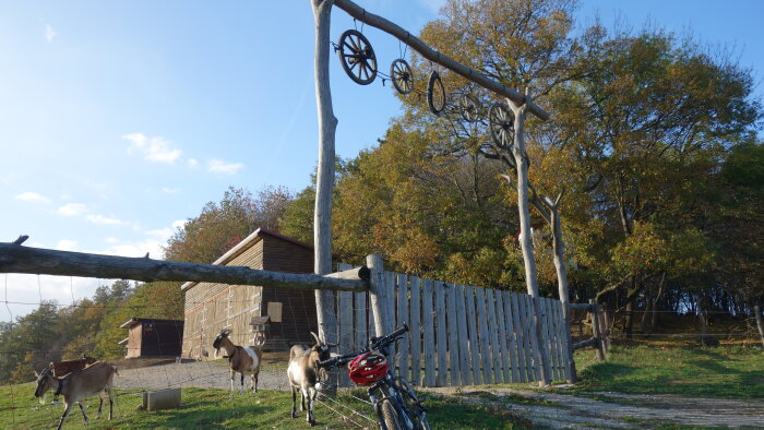 Farma pod Tŕstím - Buková-1