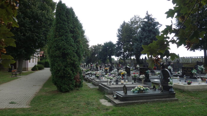 Cintorín-3