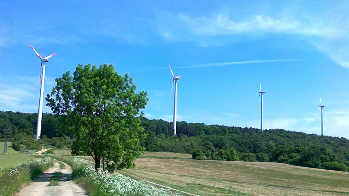 Wind farm - Cerová, part of Rozbehy-2