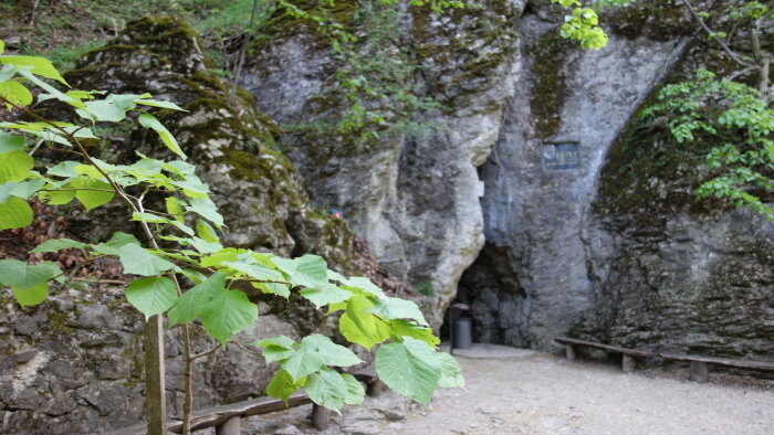NPP Jaskyňa Driny - Smolenice-1