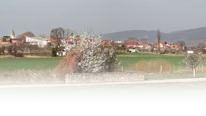 The village of Košolná-1