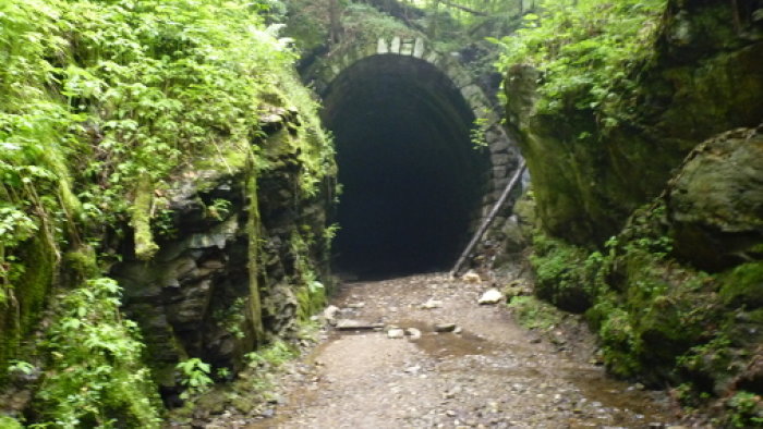 Slavošovský tunel (Tunel pod Homôlkou)-1