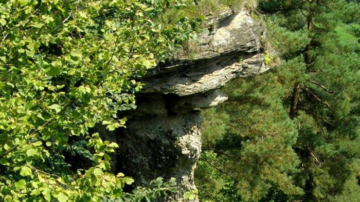 Markušovský skalný hríb-3