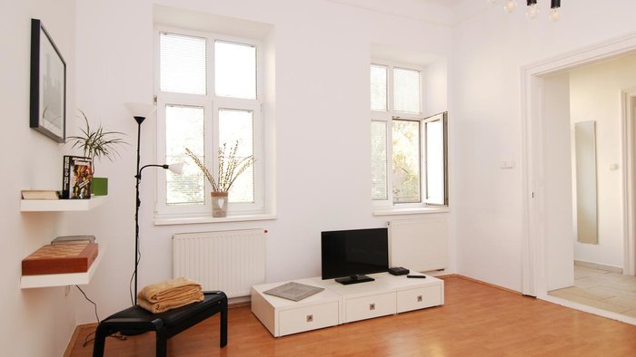 Lion apartment 3, big size, high ceilings, private garden-8