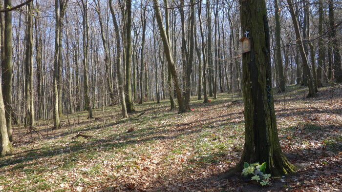 Stations of the Cross in the forest above the village - Cerová-2