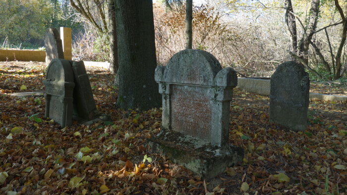 Jüdischer Friedhof - Dolná Krupá-3