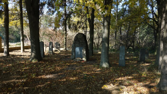 Jüdischer Friedhof - Dolná Krupá-5
