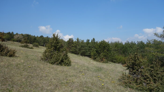 Naturschutzgebiet Pod Holým vrchom-6