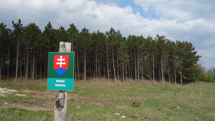 Naturschutzgebiet Chríb - Lančár-1
