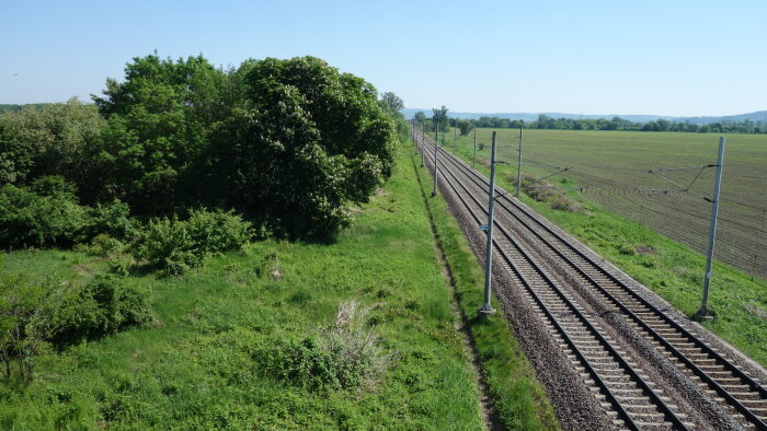 The site of the former Bučany railway station-1