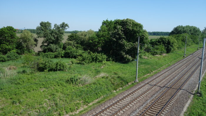 The site of the former Bučany railway station-3
