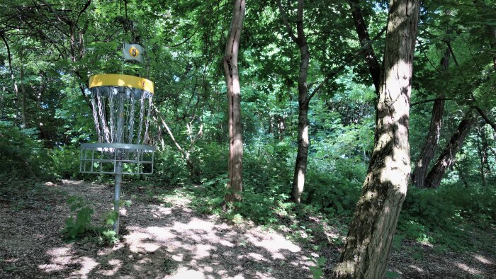 Disc golf course - Malženice-10