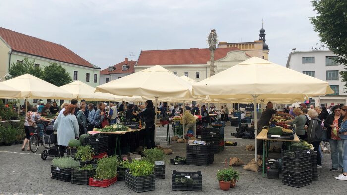 Market on Trinity Square - Trnava-3