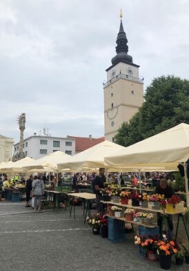 Market on Trinity Square - Trnava-8