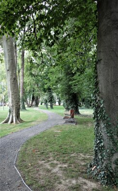 Green park Pečeňady-5