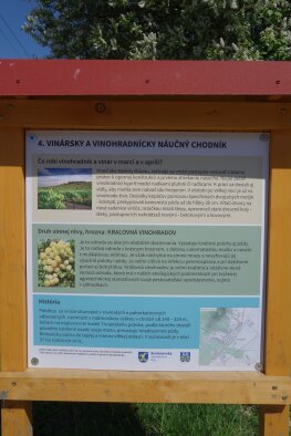 Wine and vineyard educational trail-6