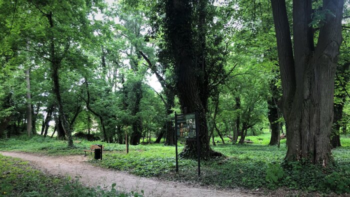 Educational trail through the Žičių park-12