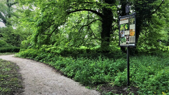 Educational trail through the Žičių park-3