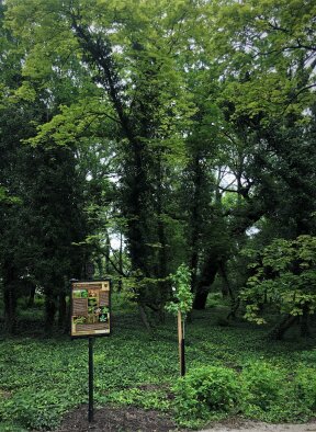 Educational trail through the Žičių park-24