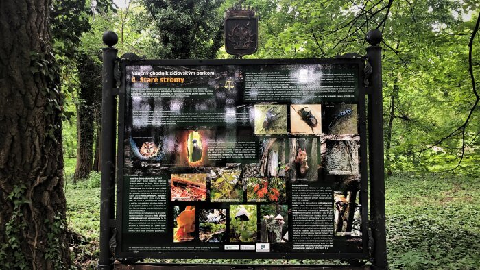 Educational trail through the Žičių park-11