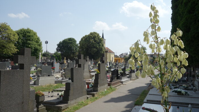 Cemetery - Zeleneč-1