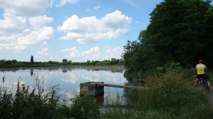 Védett terület Trnavské rybníky - Hrnčiarovce nad Parnou-8