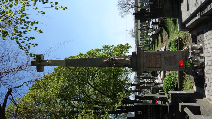Centrální kříž na hřbitově - Pusté Uľany-3