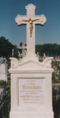 Az 1848-as magyar forradalom résztvevőjének síremléke - Takács János-2