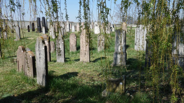 Židovský cintorín - Jelka-2