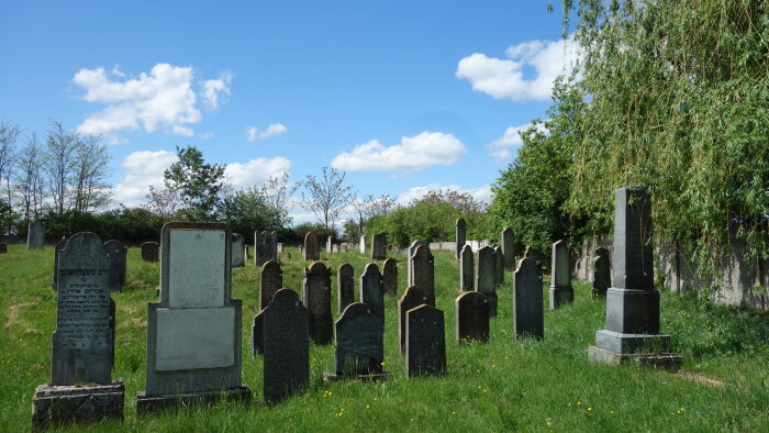 Židovský cintorín - Jelka-1