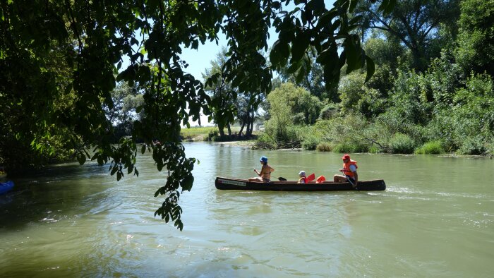 Rafting on the Little Danube-5