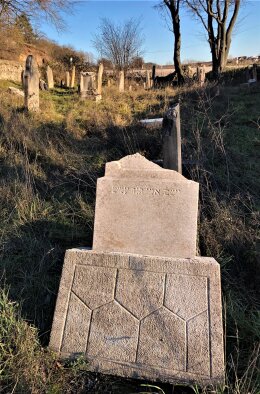 Zsidó temető - Trstín-13
