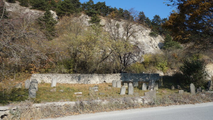 Zsidó temető - Trstín-5