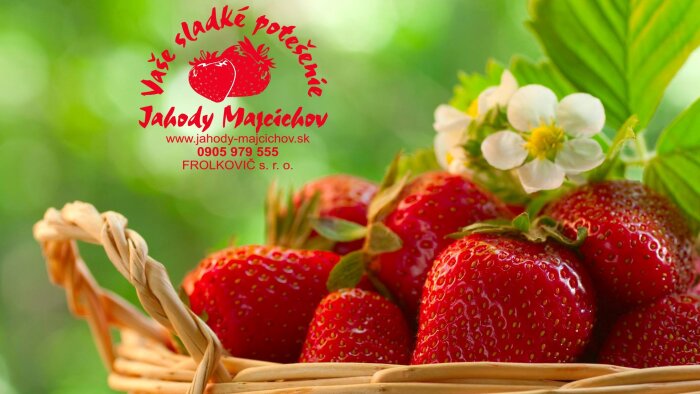 Erdbeerfarm 2 - Majcichov-1
