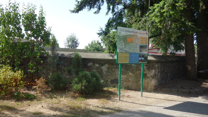 Arboretum - Doľany-2