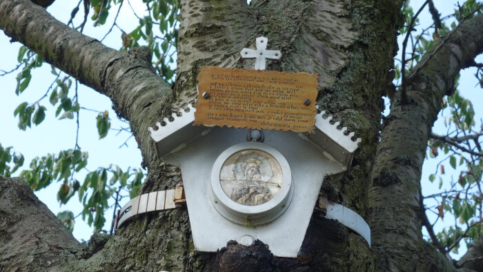 Baum mit der Jungfrau Maria - Borová-1
