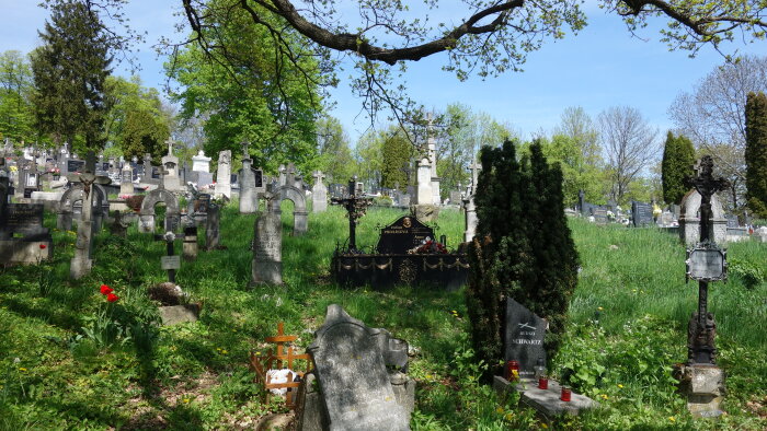 Cemetery - Doľany-1