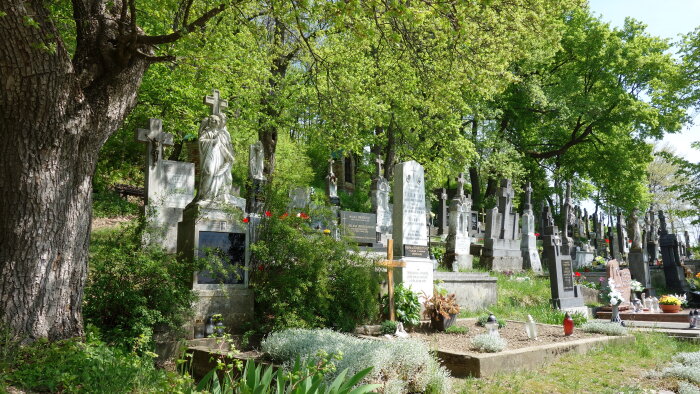 Cemetery - Doľany-2