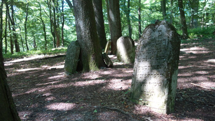 Jewish cemetery - old, Častá-1